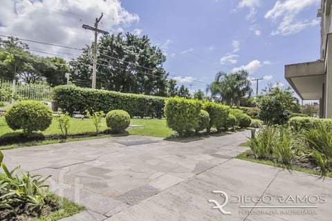 Image 31 - 264681